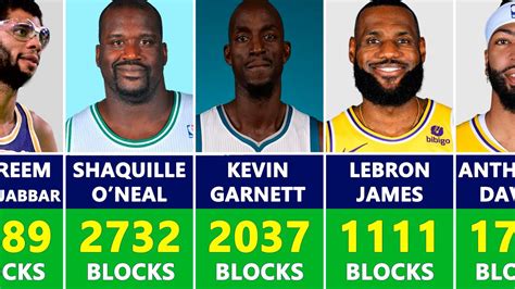 NBA & ABA Career Leaders and Records for Blocks.
